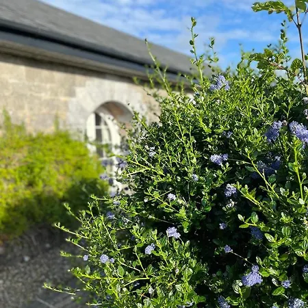 Kiltanon Court * Ennis